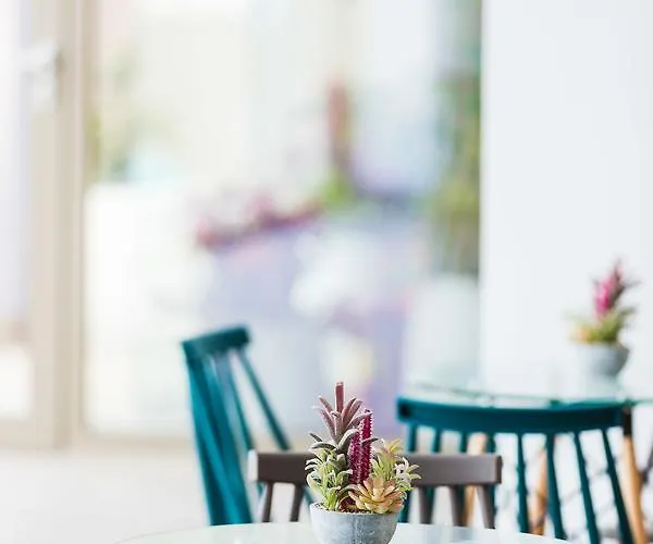 Hotel Menta Boutique 3*